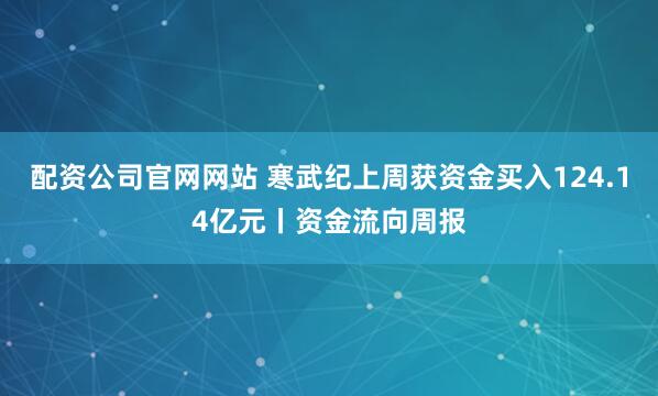 配资公司官网网站 寒武纪上周获资金买入124.14亿元丨资金流向周报