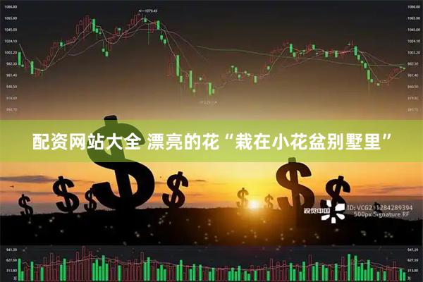 配资网站大全 漂亮的花“栽在小花盆别墅里”